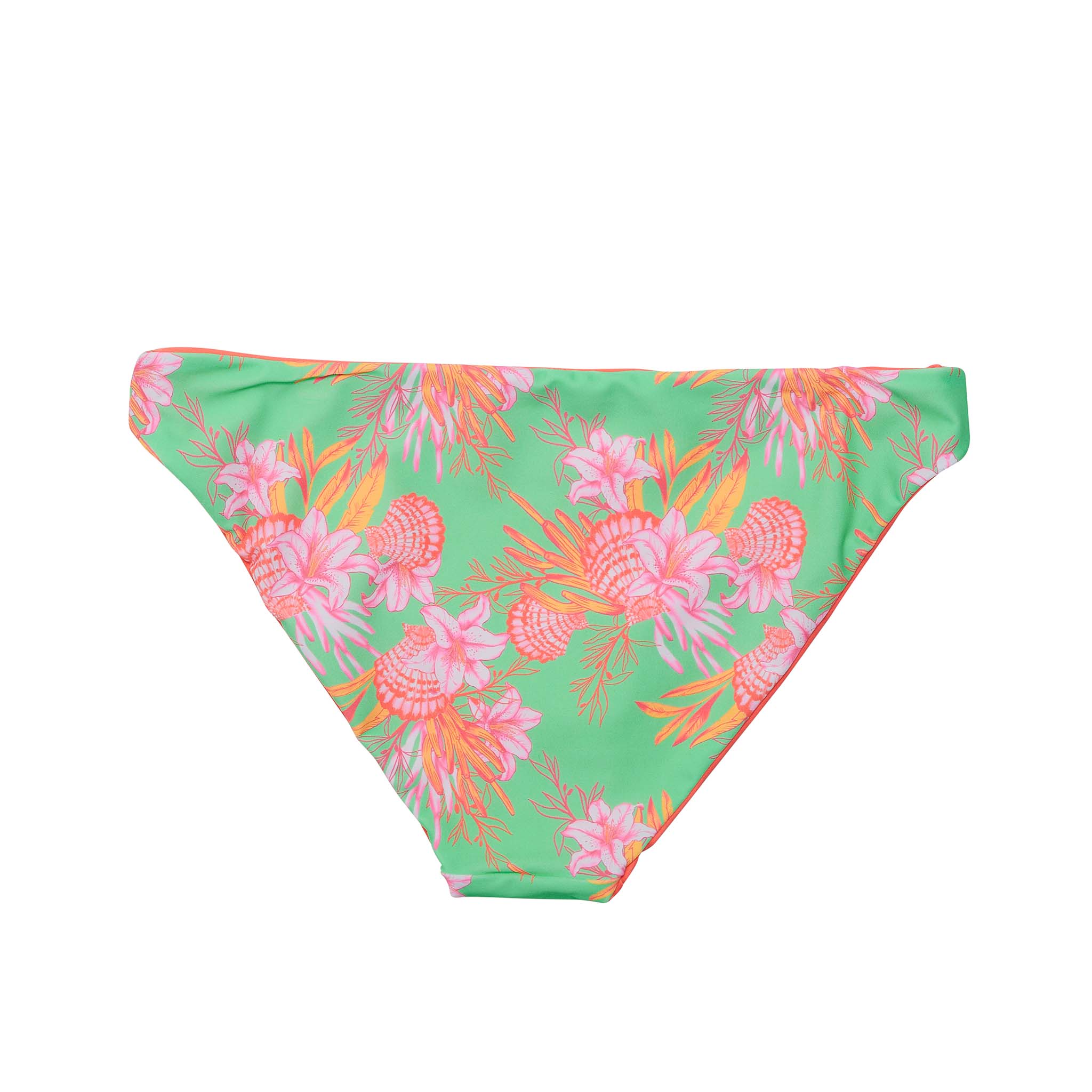 Womens Coastal Shells Sustainable Bikini Bottom