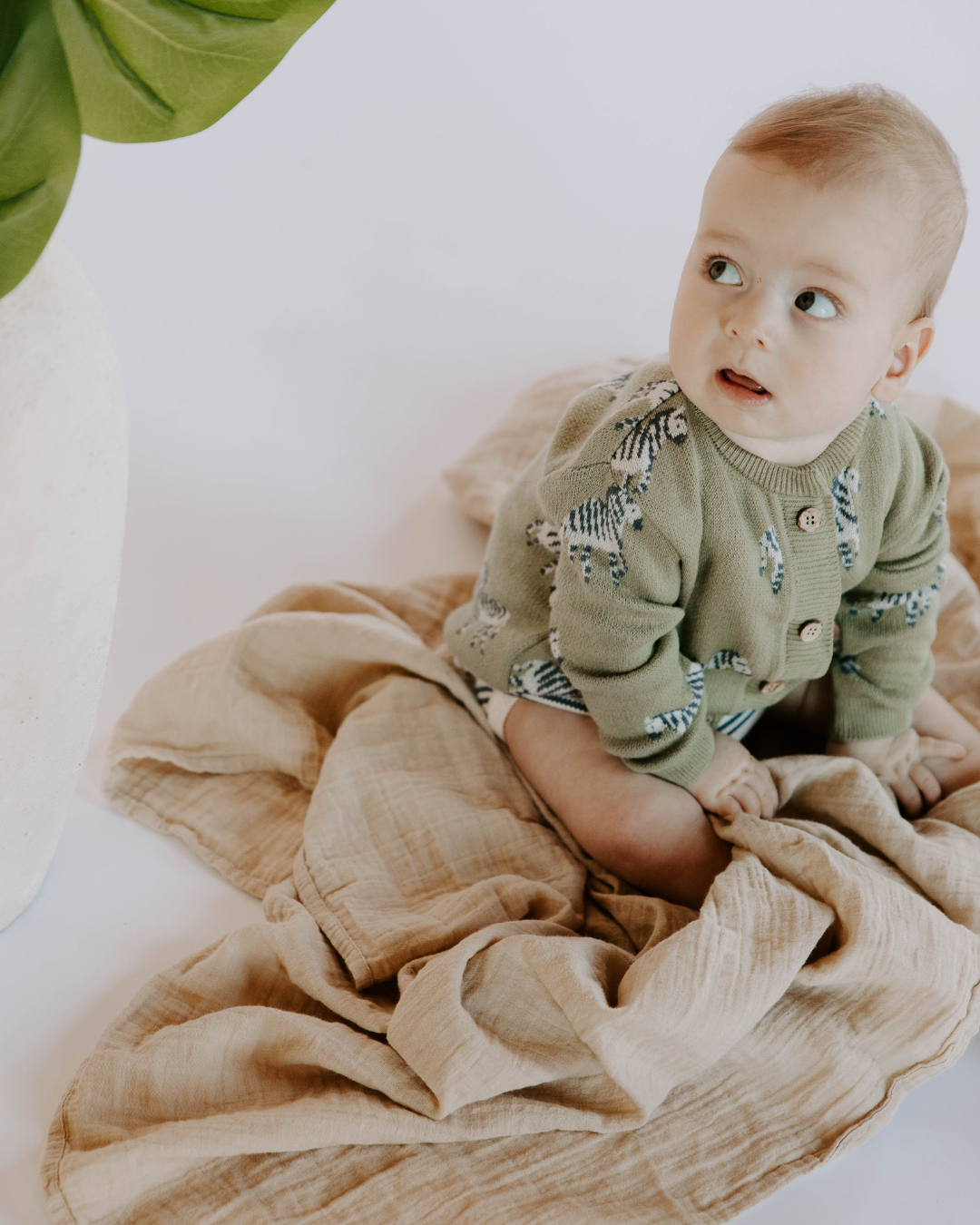 Organic Cotton Knit Jacquard Cardigan in Zebra