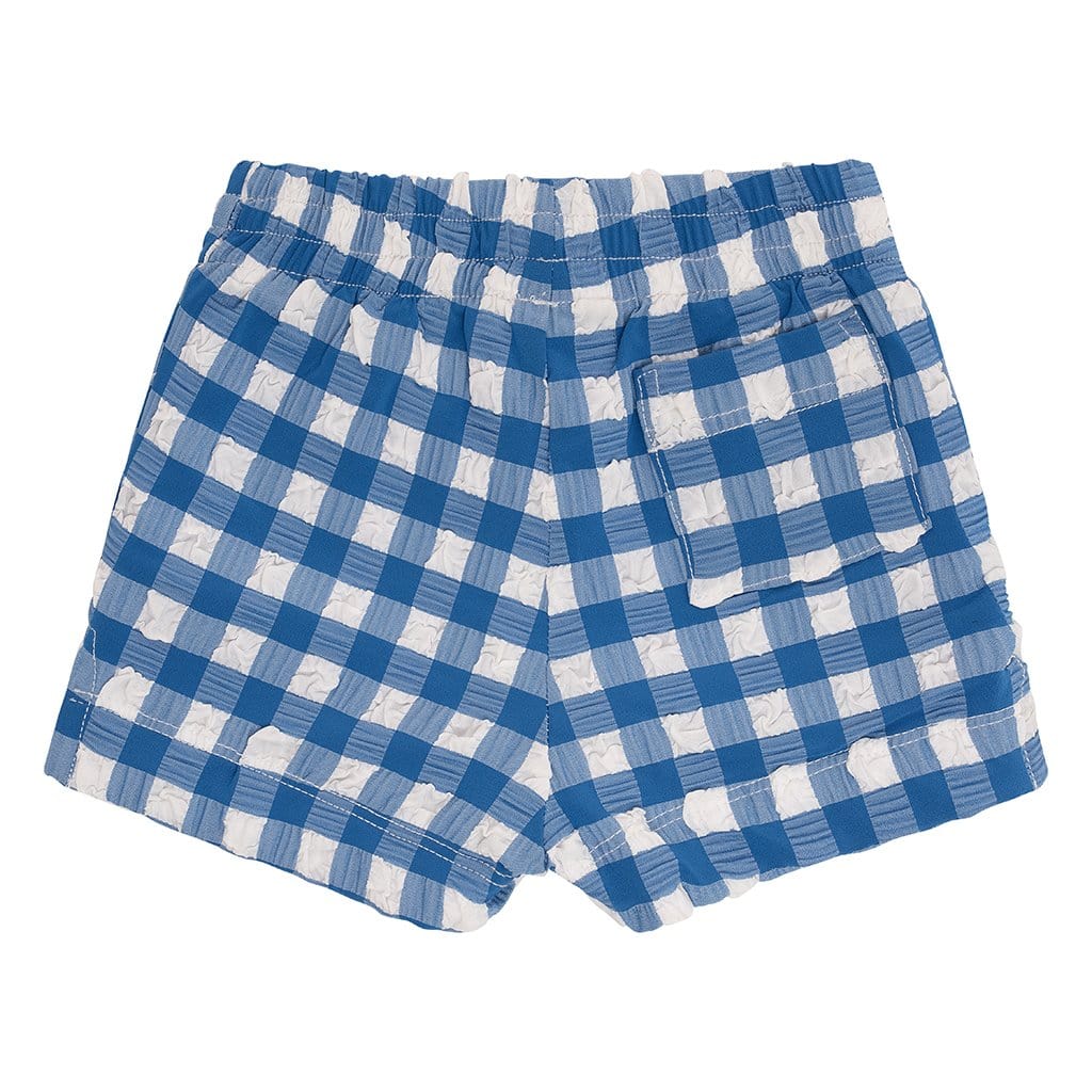 Blue Gingham Mini Swim Trunk - Tenth & Pine - Mini Swimwear - 0 - 6 Months - Blue Gingham - Montce