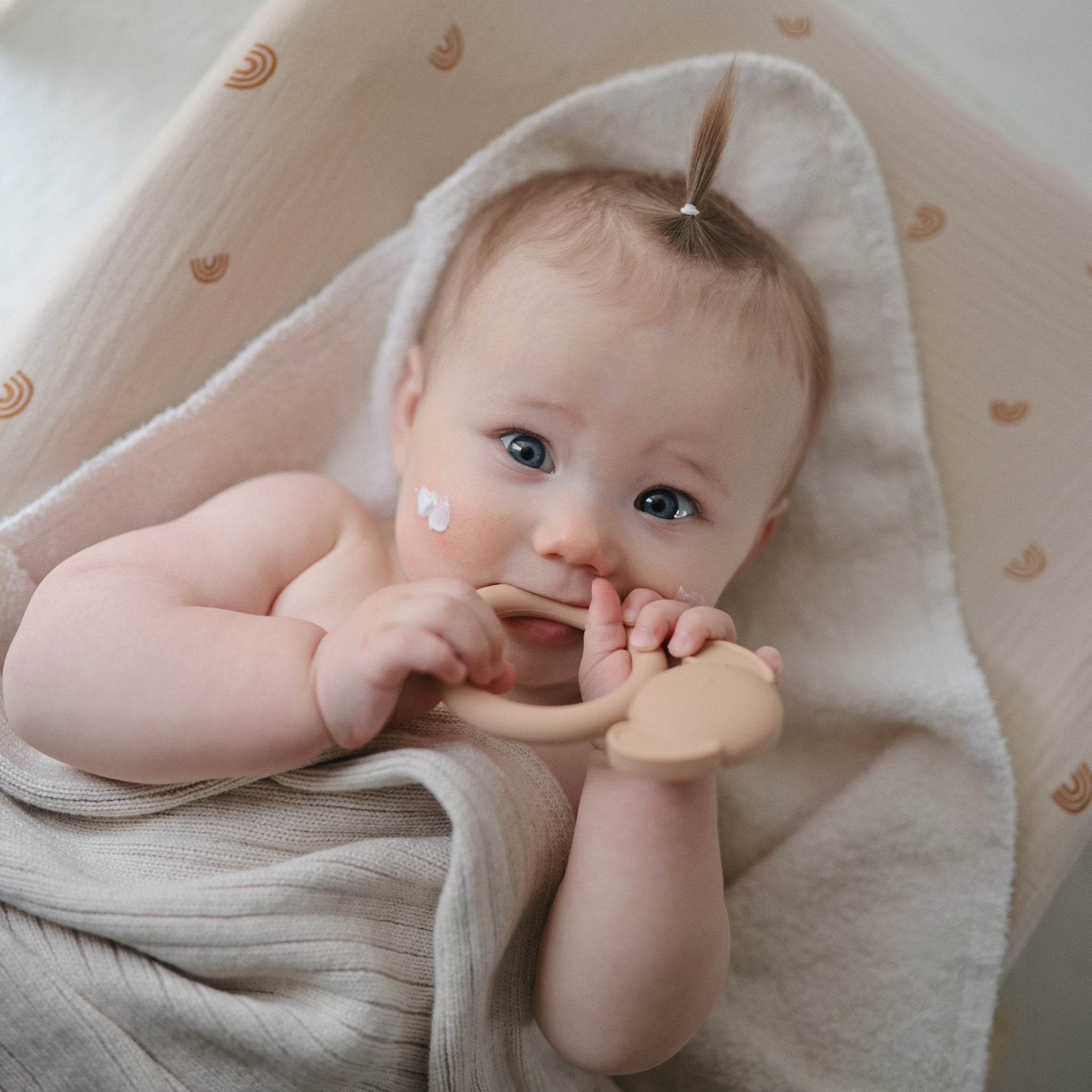 Dog Teether - Tenth & Pine - teether -