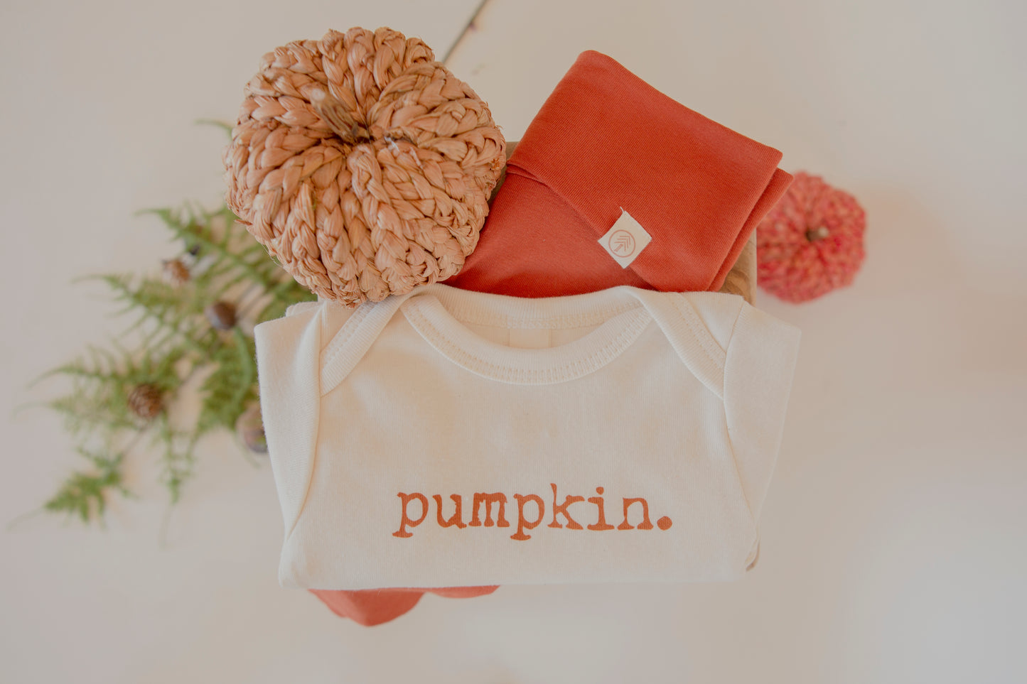 Pumpkin Rust Organic Cotton Baby Bodysuit Long Sleeve