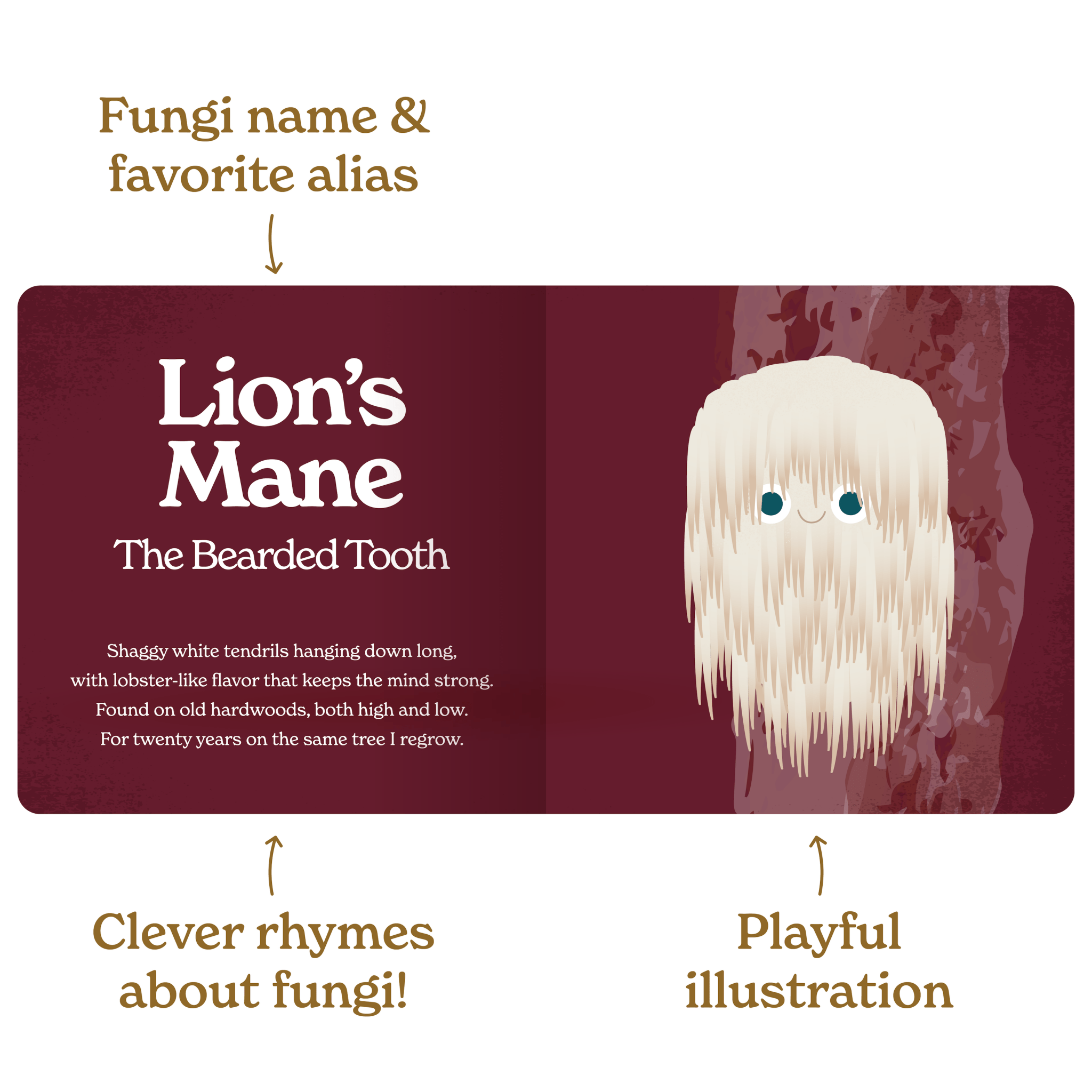 Little Book of Fungi - Tenth & Pine - Board Book -