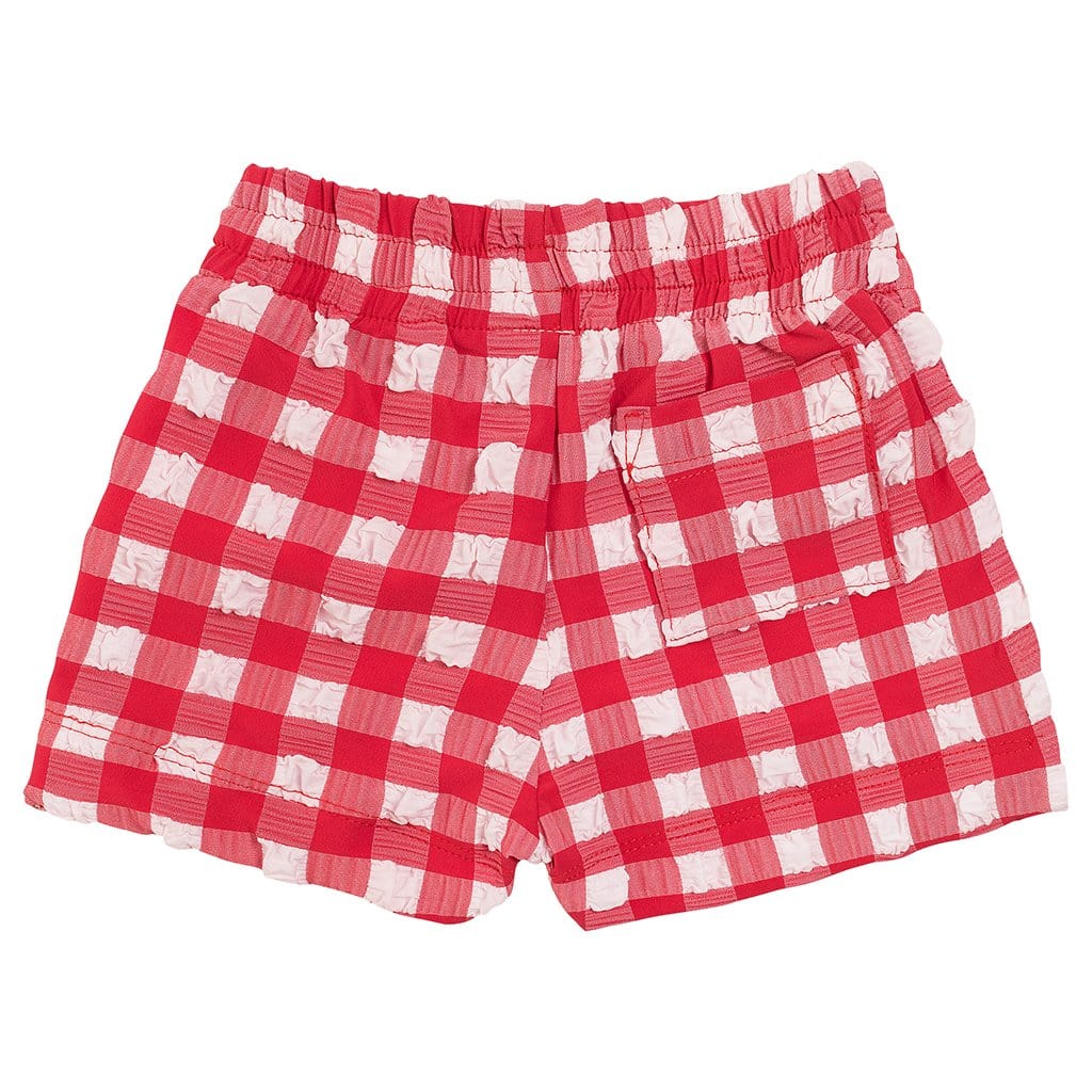 Red Gingham Mini Swim Trunk - Tenth & Pine - Mini Swimwear - 0 - 6 Months - Red Gingham - Montce