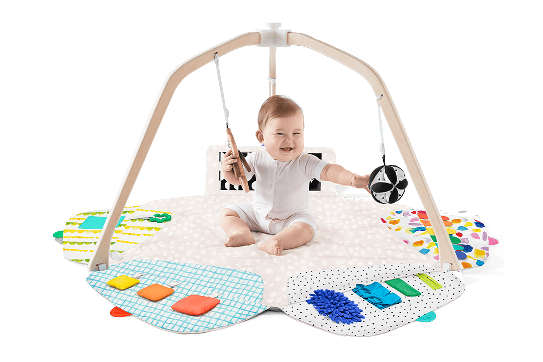 The Play Gym - Tenth & Pine - Playthings -