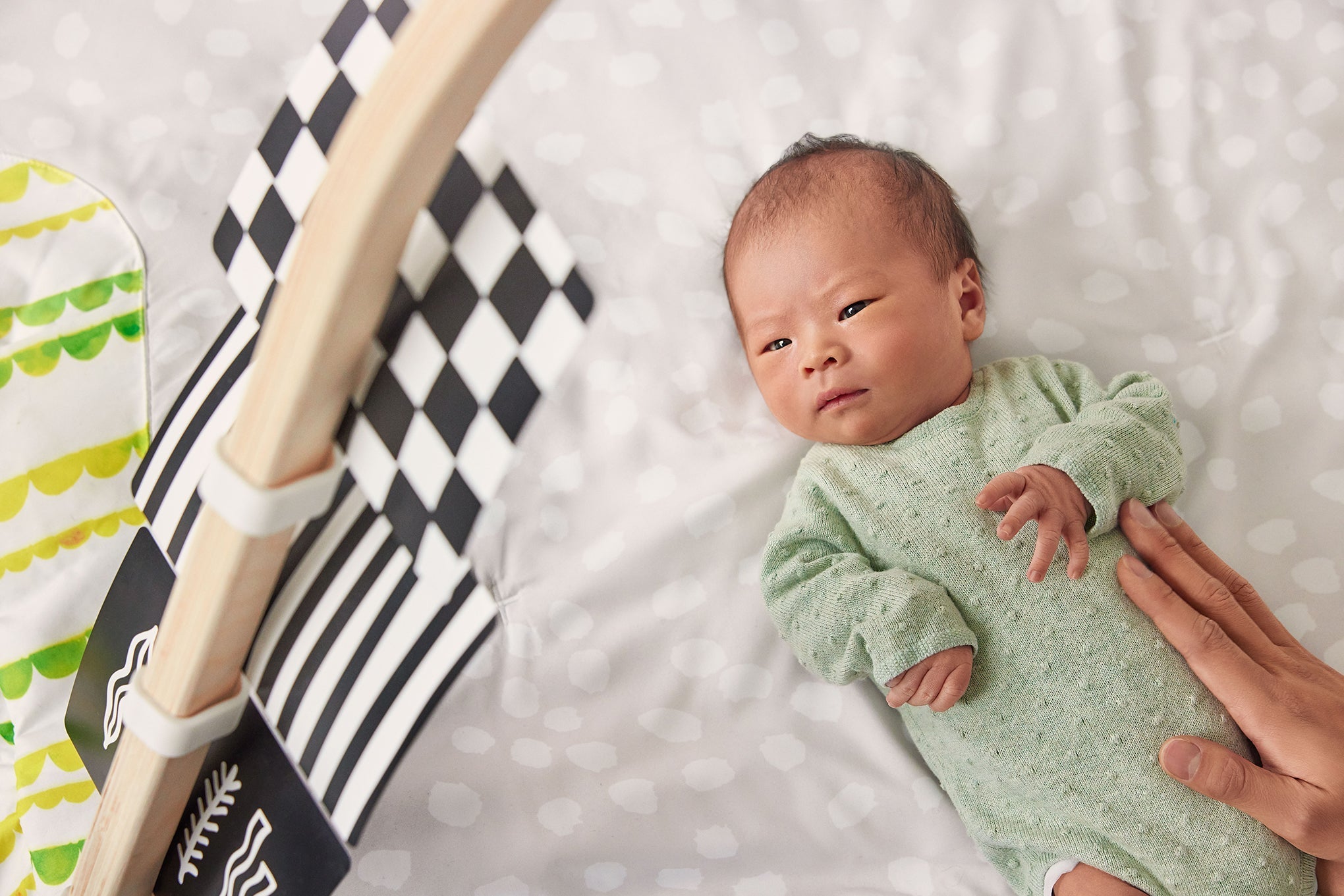 The Play Gym - Tenth & Pine - Playthings -