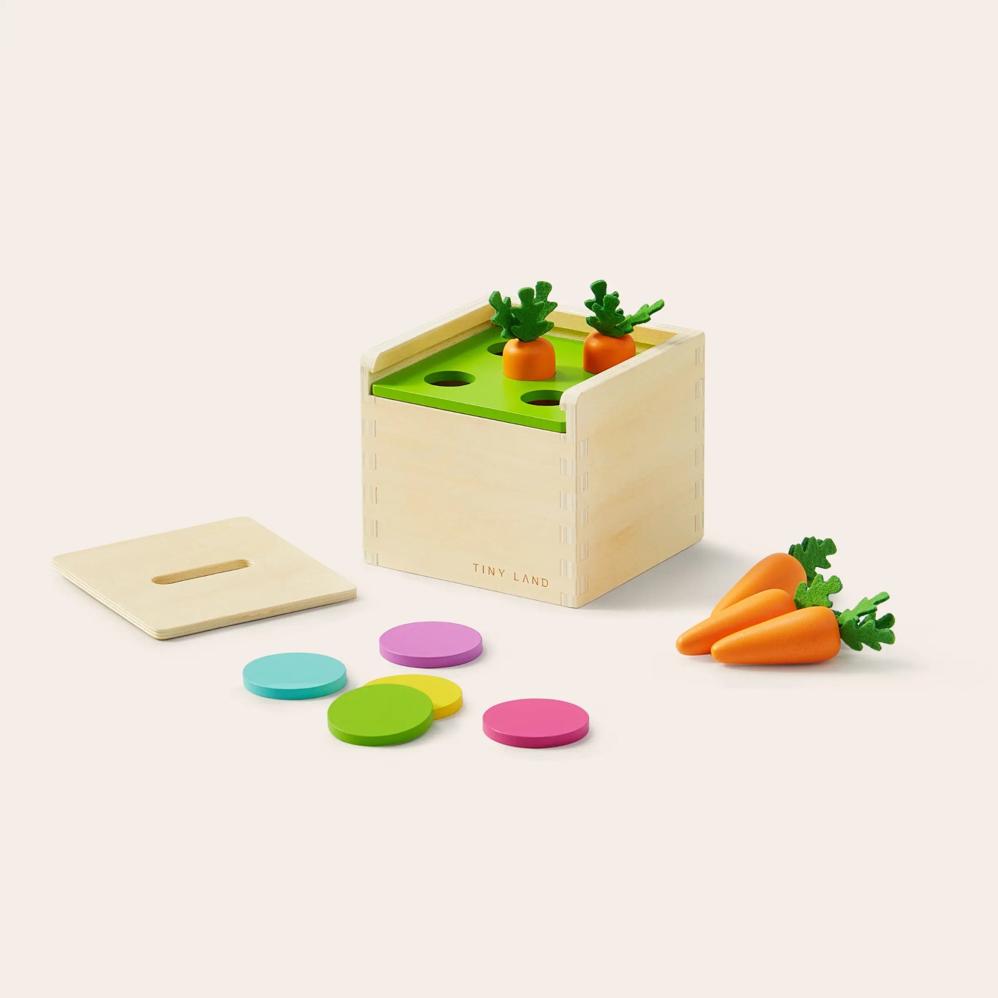 Tiny Land® Montessori Toys Set for Toddlers (13 - 15 month) - Tenth & Pine -