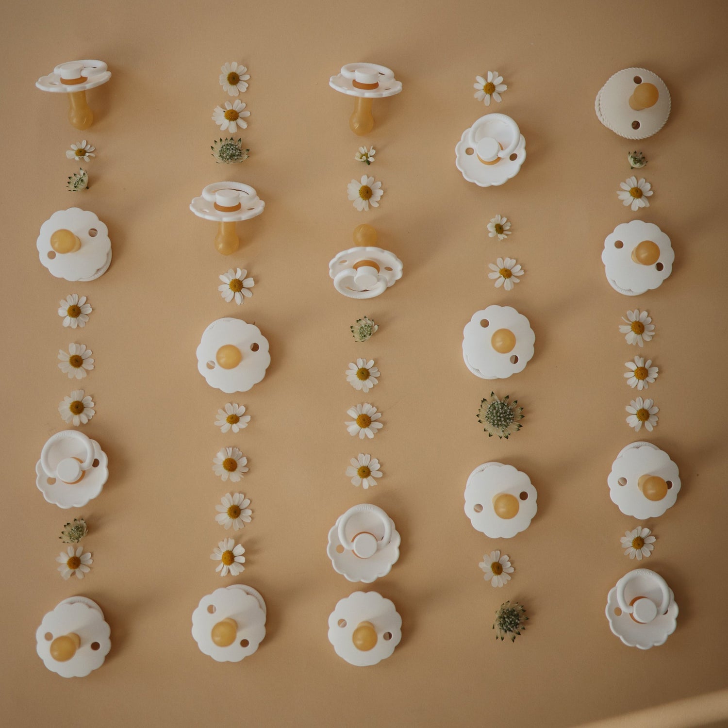 FRIGG Daisy Natural Rubber Pacifier 2 - Pack - Tenth &amp; Pine - FRIGG PACIFIERS - 6 - 18 months - Pink Cream/Poppy