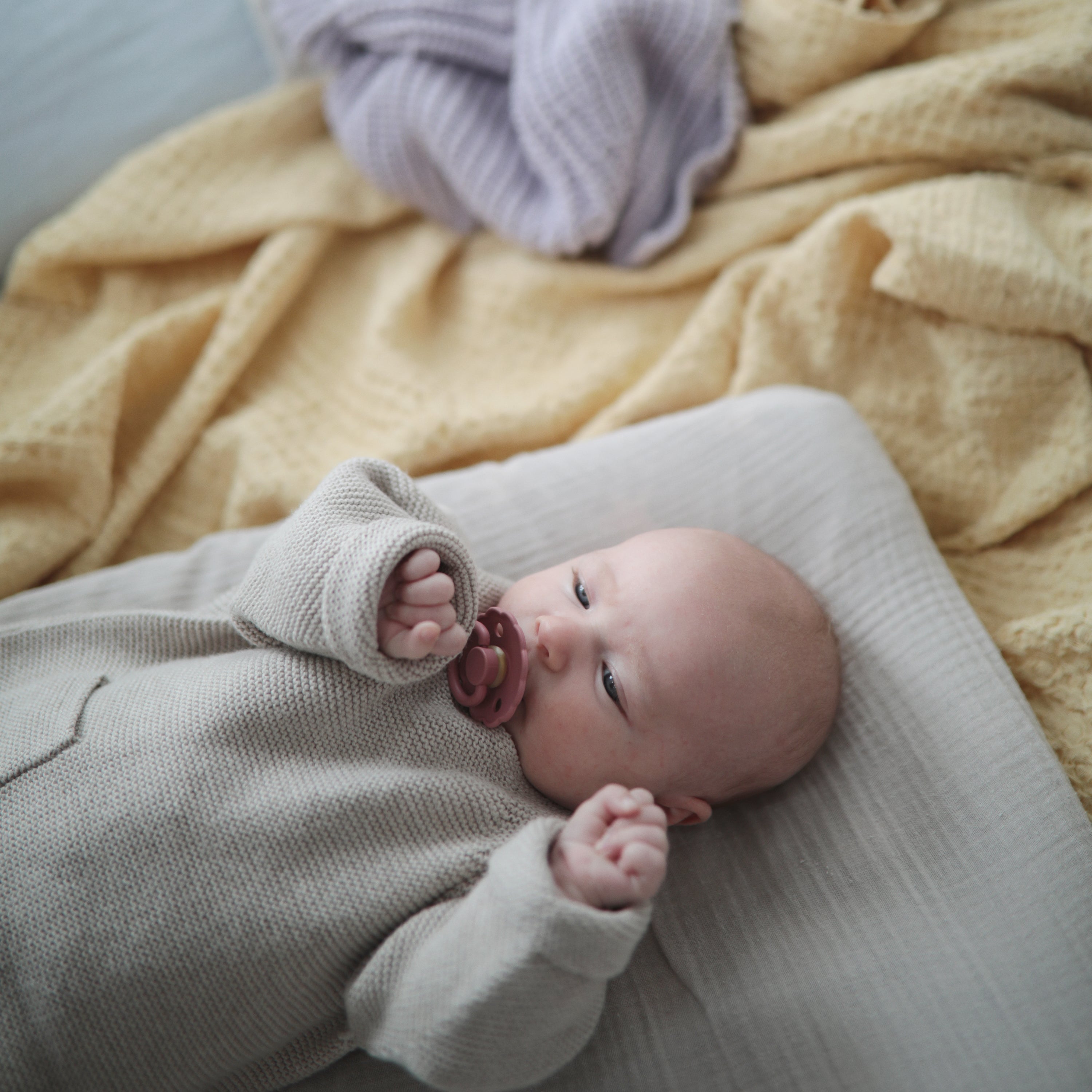 FRIGG Daisy Natural Rubber Pacifier 2 - Pack - Tenth &amp; Pine - FRIGG PACIFIERS - 6 - 18 months - Pink Cream/Poppy