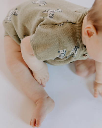 Organic Cotton Knit Jacquard Playsuit in Zebra