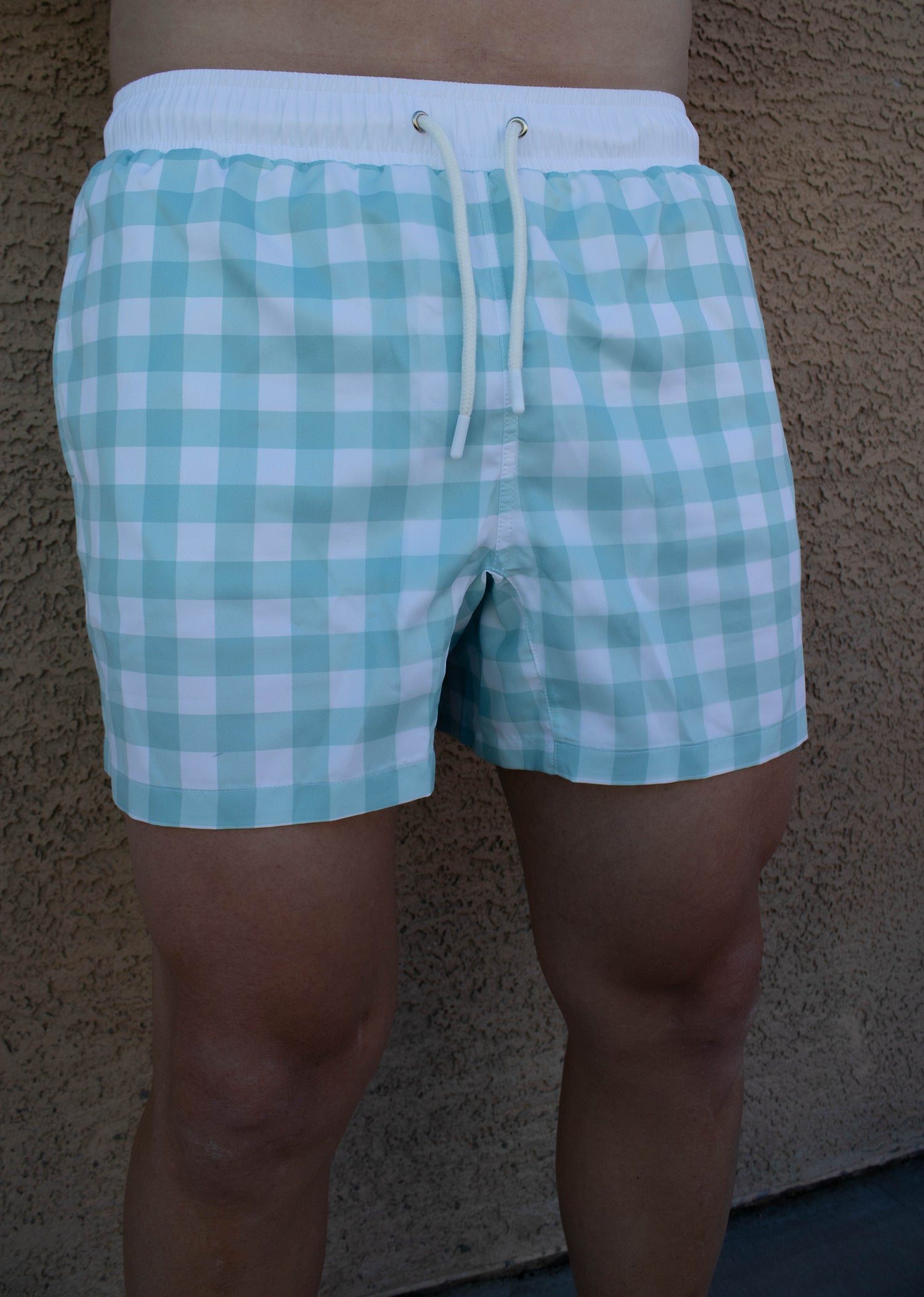 Aqua Mens Swim Shorts