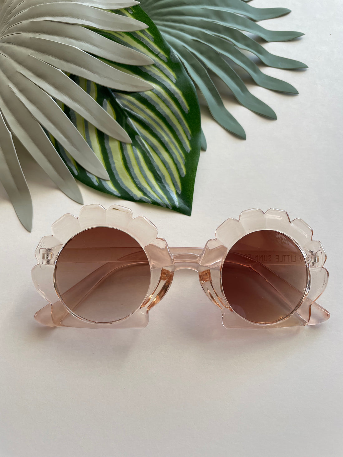 Round Seashell Sunglasses - Translucent Sand