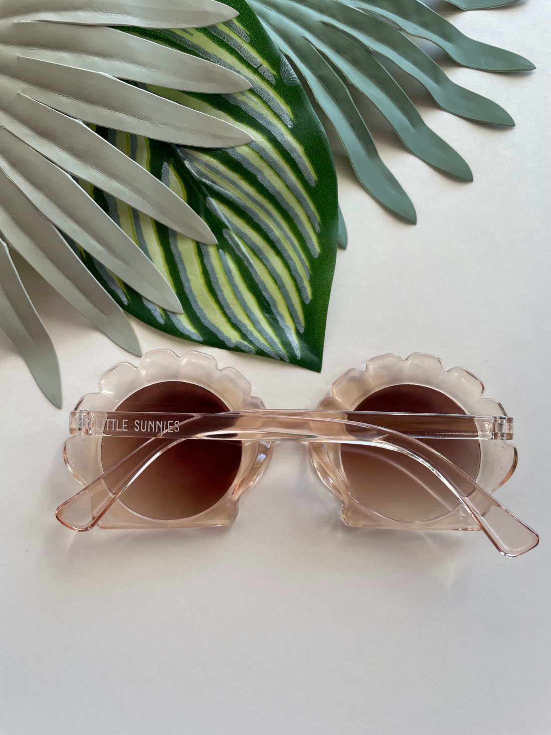 Round Seashell Sunglasses - Translucent Sand