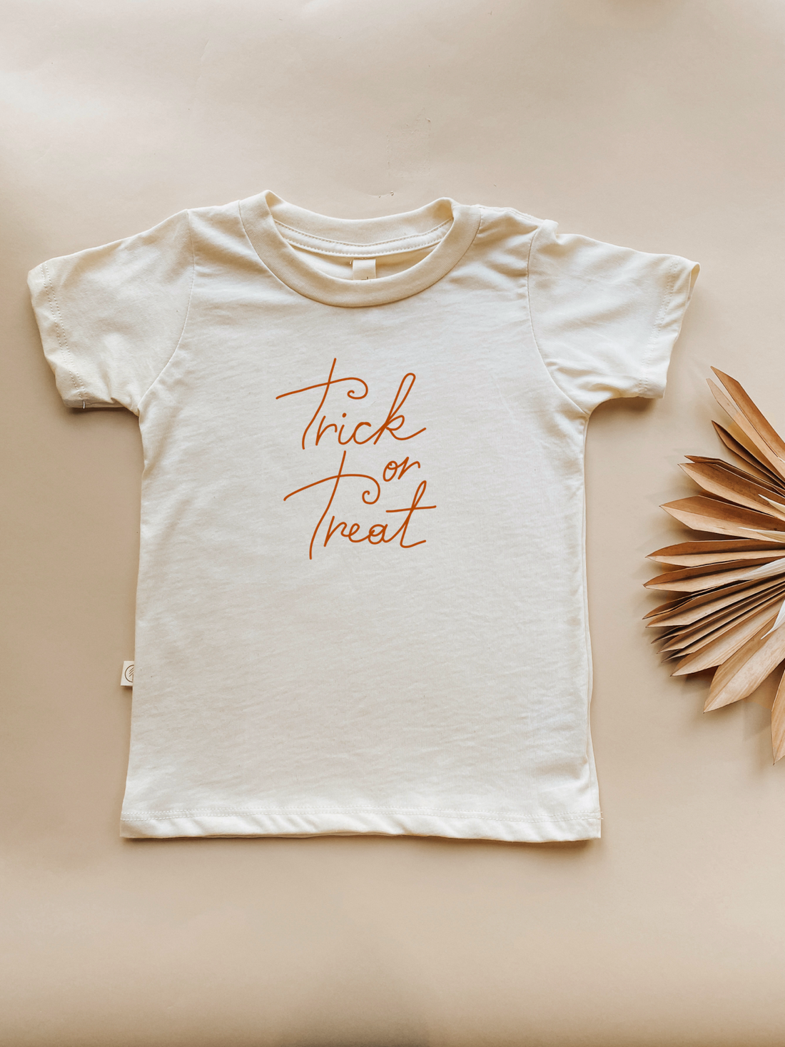 Toddler Crew Neck Tee | Trick or Treat | Organic Cotton