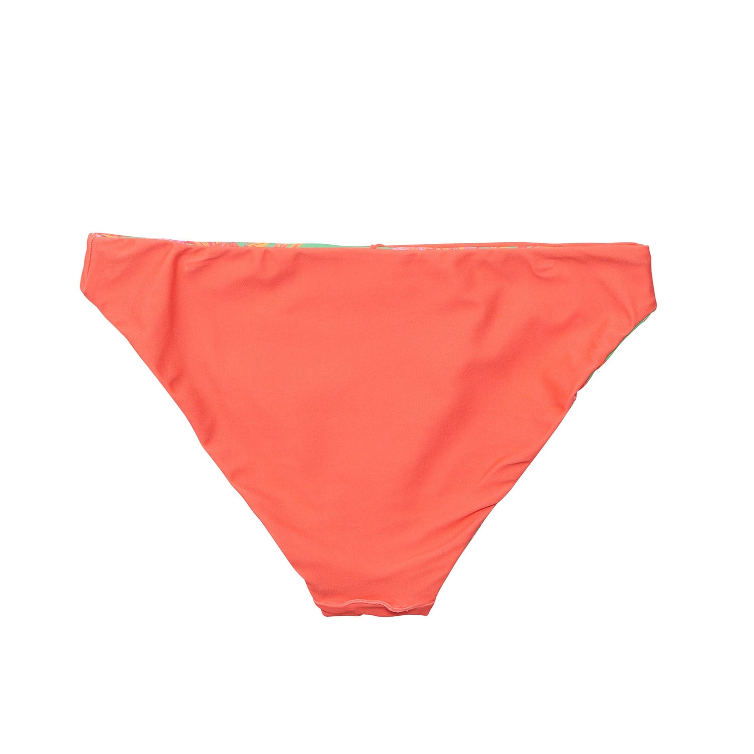 Womens Coastal Shells Sustainable Bikini Bottom