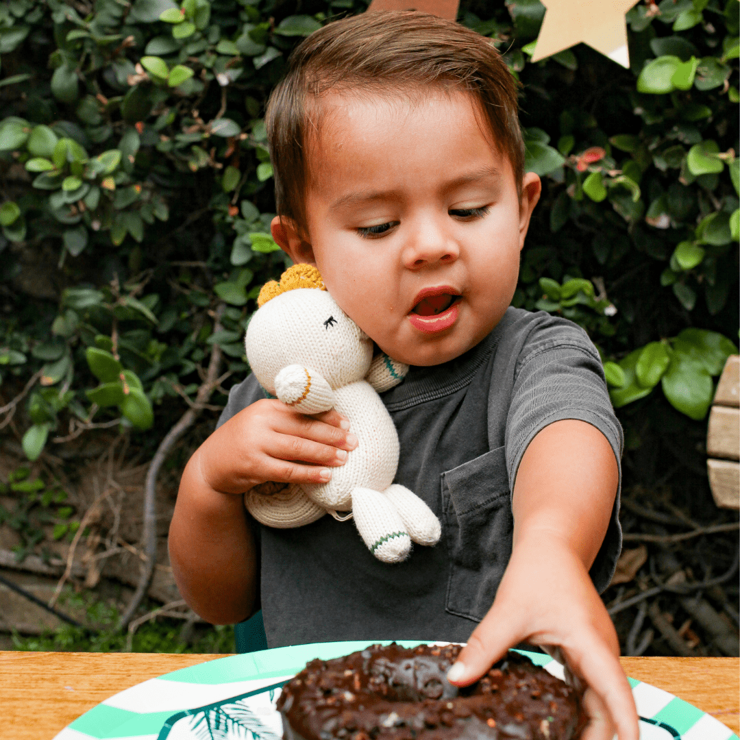 Baby Stegasaurous - Tenth &amp; Pine - 