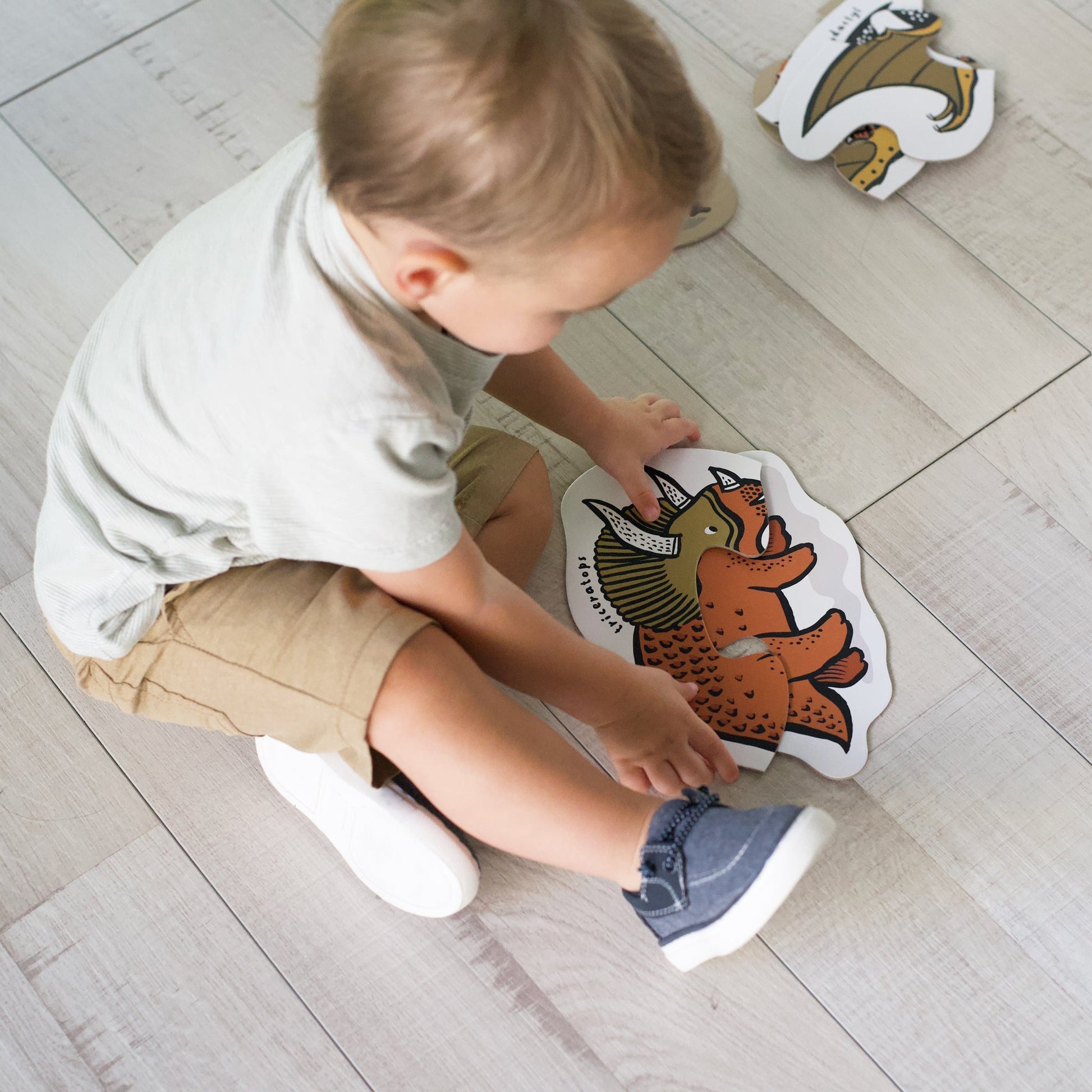 Beginner Puzzles - Dinos - Tenth & Pine - Puzzle - 