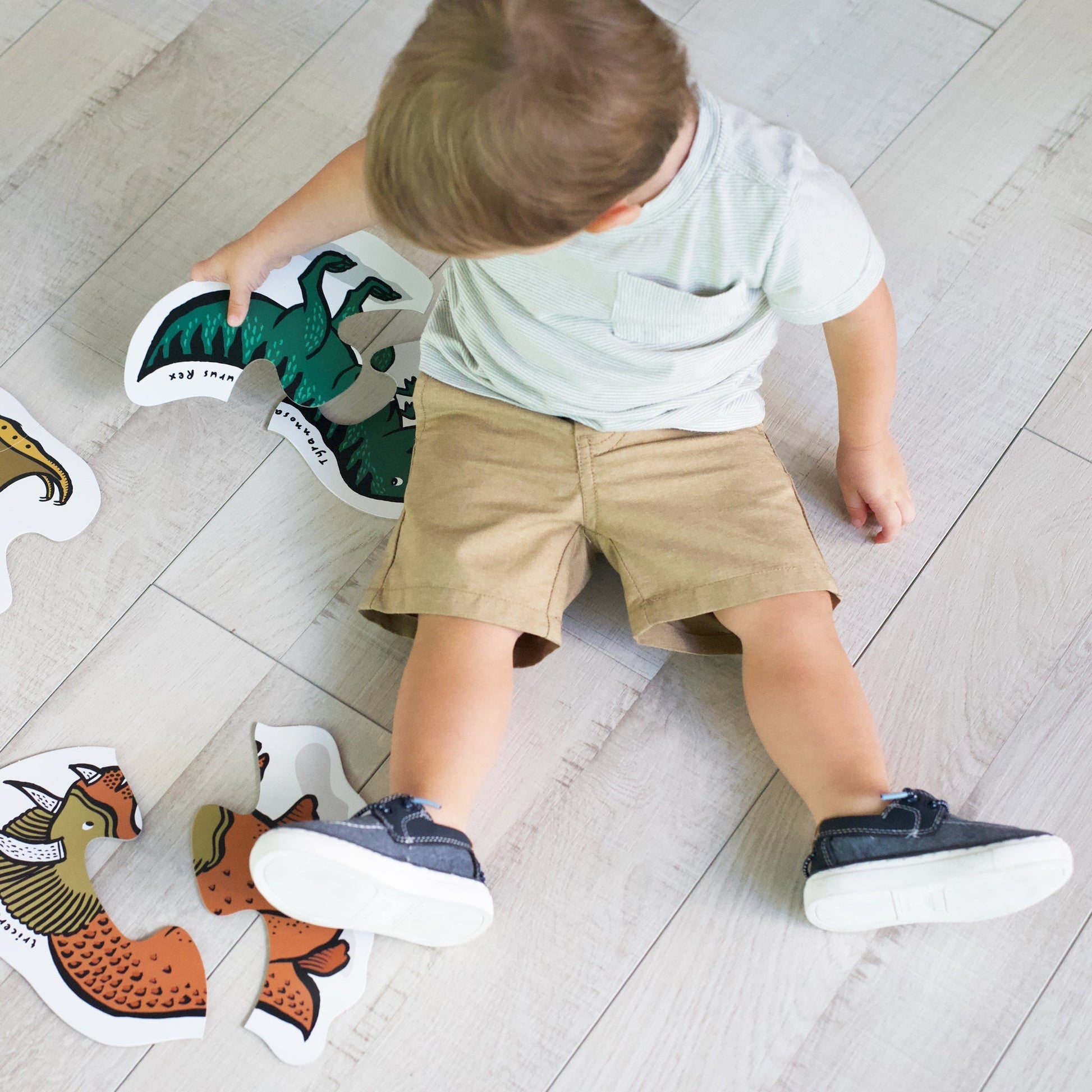 Beginner Puzzles - Dinos - Tenth & Pine - Puzzle - 