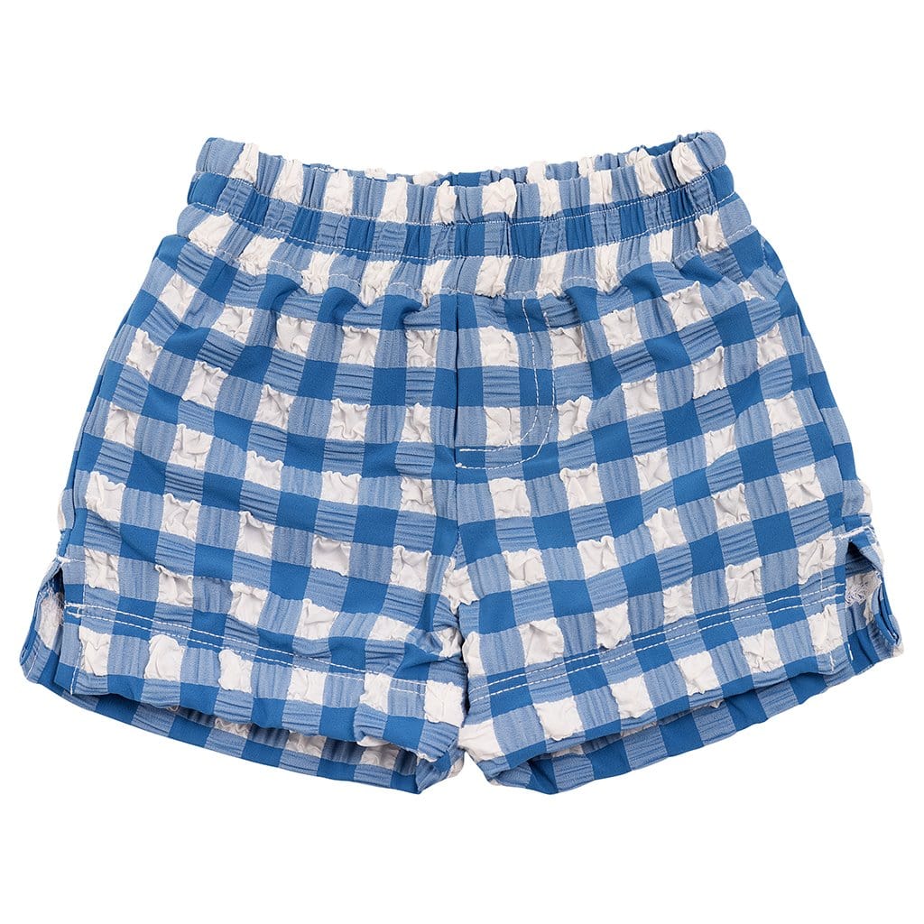 Blue Gingham Mini Swim Trunk - Tenth &amp; Pine - Mini Swimwear - 0 - 6 Months - Blue Gingham - Montce