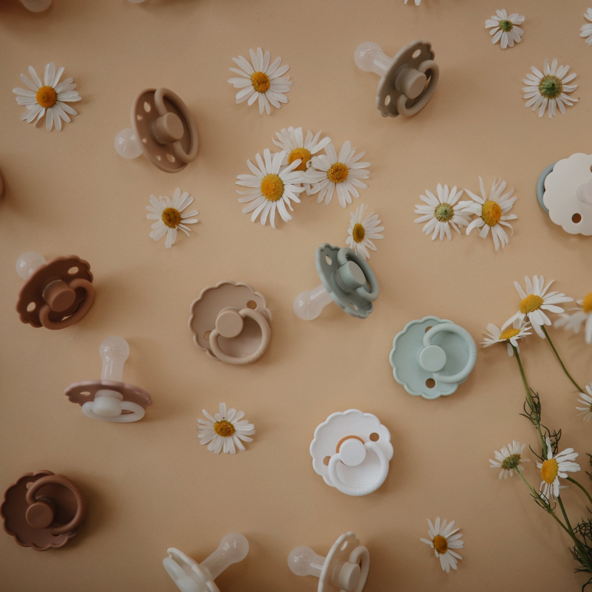 FRIGG Daisy Night Silicone Pacifier 2 - Pack - Tenth &amp; Pine - FRIGG PACIFIERS - 6 - 18 months - Portobello/Croissant