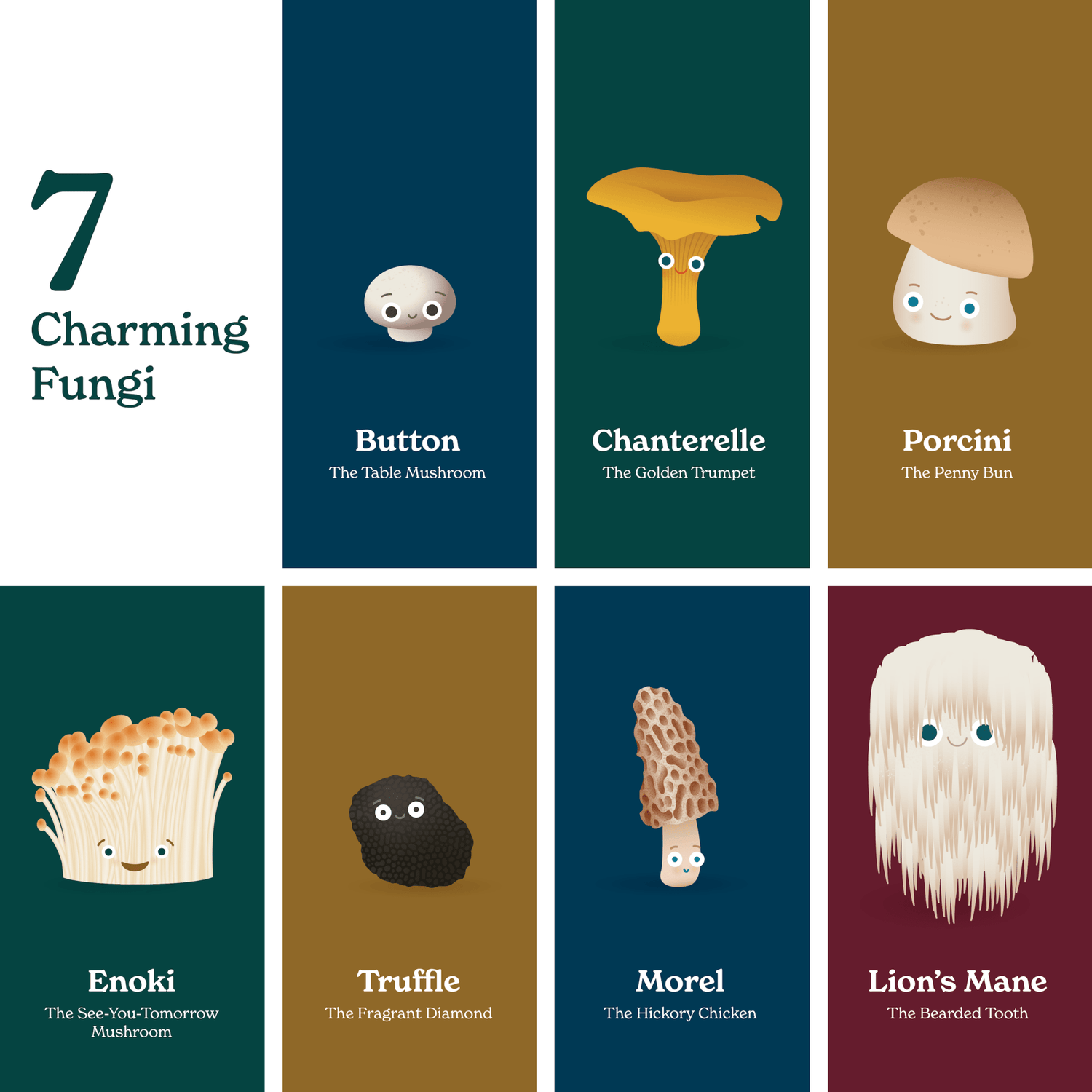 Little Book of Fungi - Tenth &amp; Pine - Board Book - 