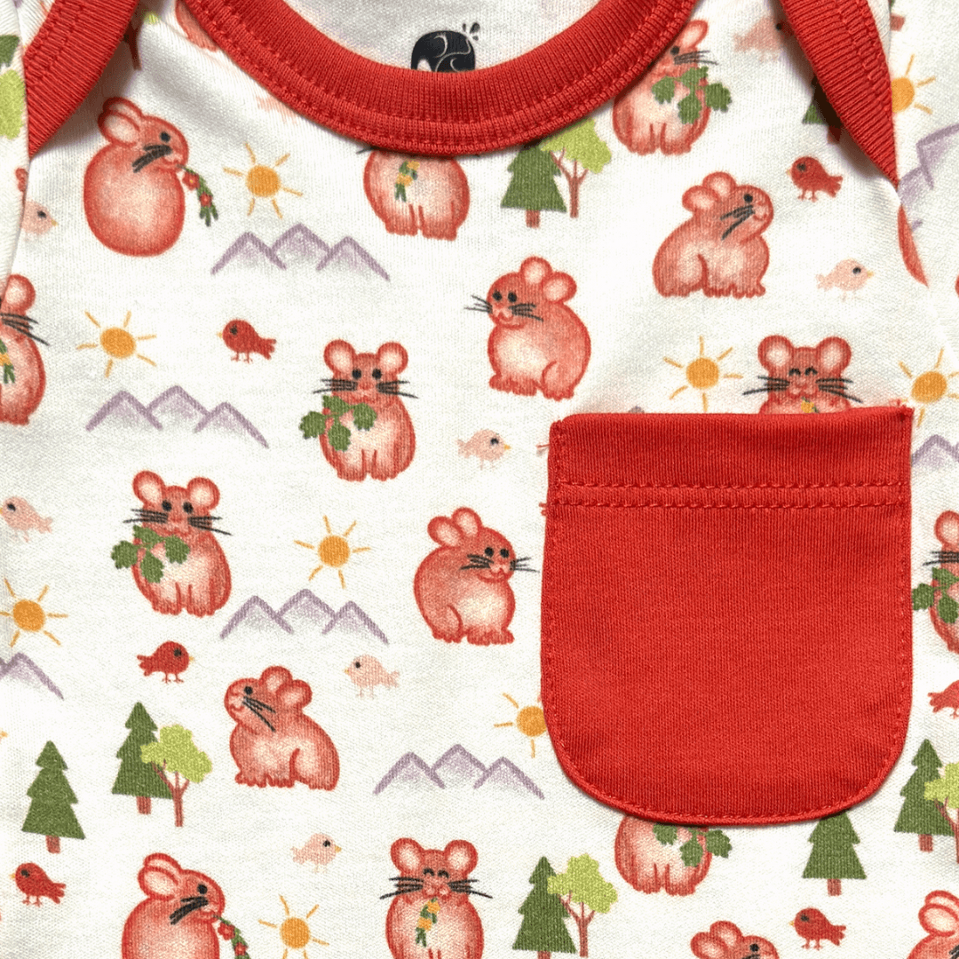 Pika Short Set | Organic Pima Cotton - Tenth & Pine - Summer Outfits - 0 - 3M - Kolorful