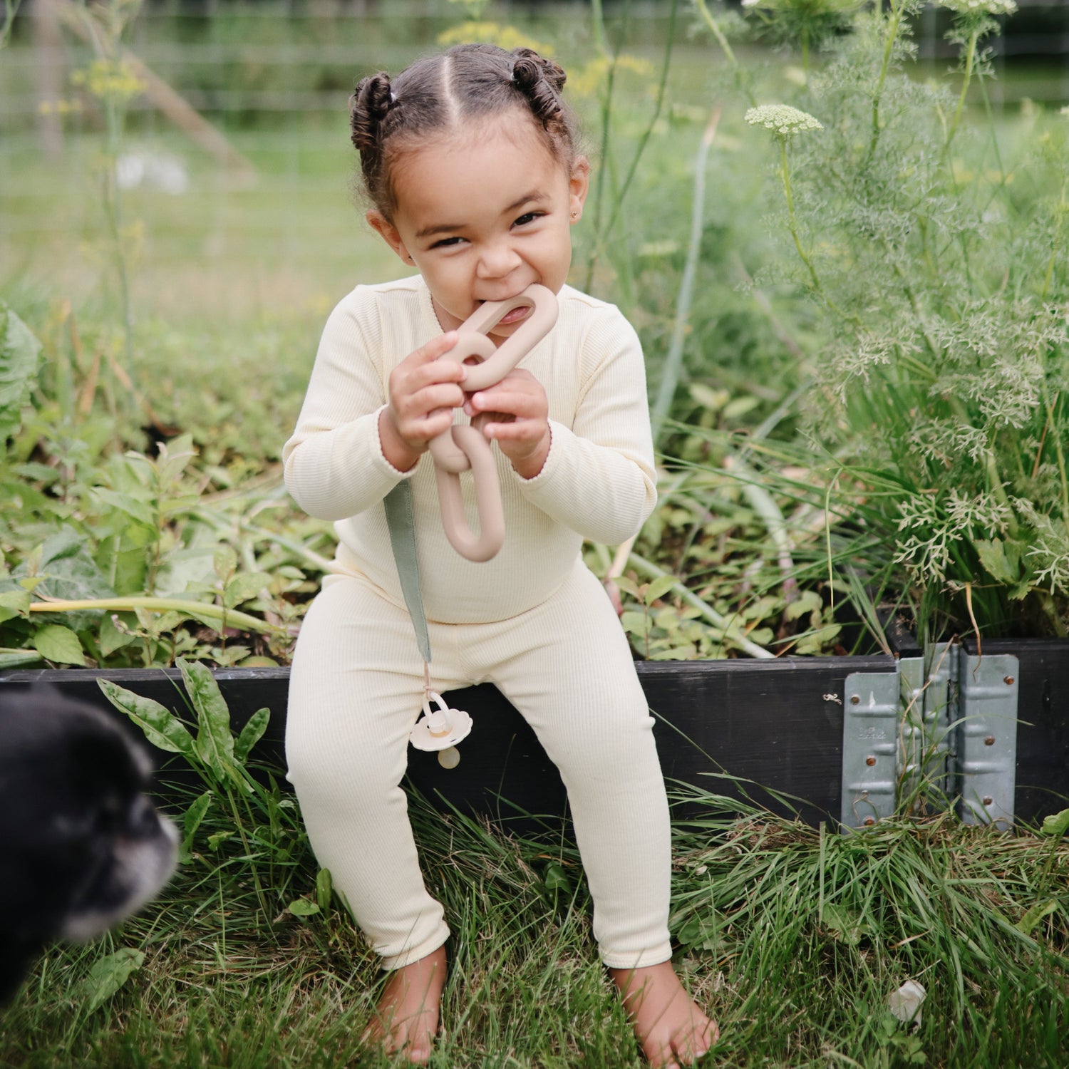 FRIGG Daisy Natural Rubber Pacifier 2 - Pack - Tenth &amp; Pine - FRIGG PACIFIERS - 6 - 18 months - Pink Cream/Poppy